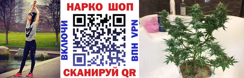 Цена Дегтярск Псилоцибиновые грибы  МЕФ  Гашиш  Кокаин  A PVP 