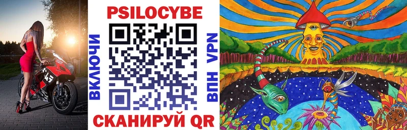 наркота Дегтярск Галлюциногенные грибы Psilocybe